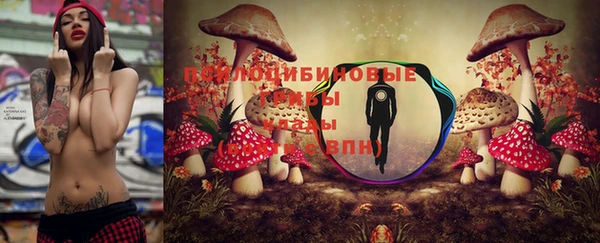 a pvp Балахна