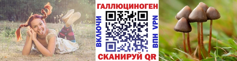 Псилоцибиновые грибы мицелий  Высоковск 